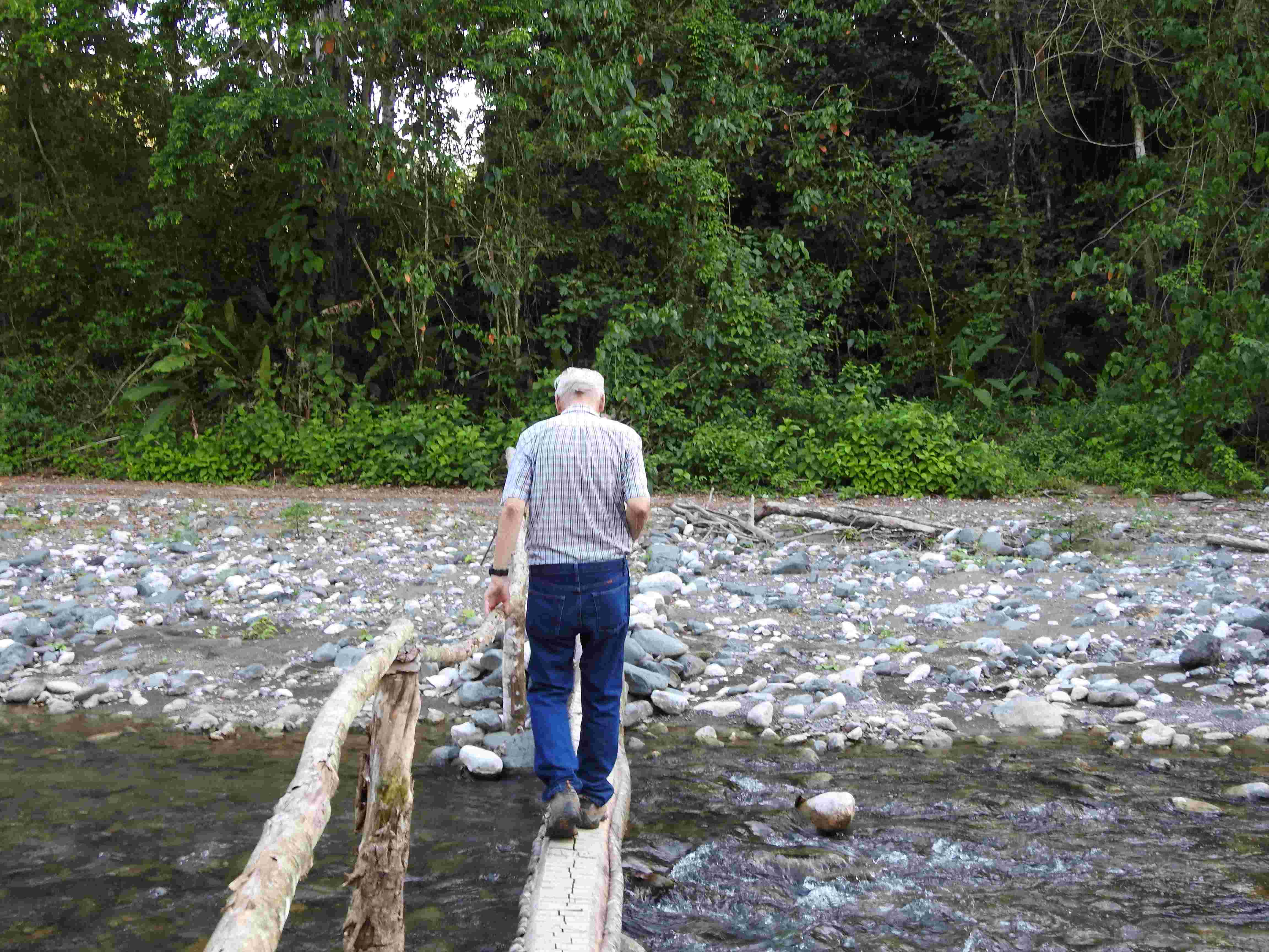 footbridge